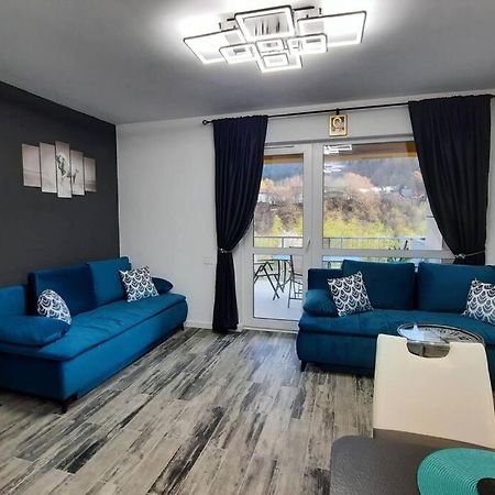 Apartament Erika Premium Σινάια Εξωτερικό φωτογραφία