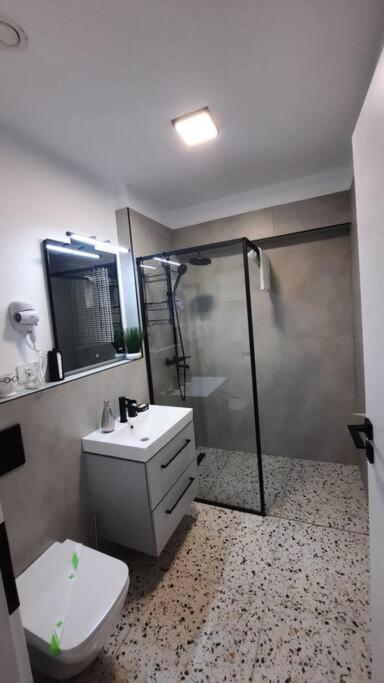 Apartament Erika Premium Σινάια Εξωτερικό φωτογραφία