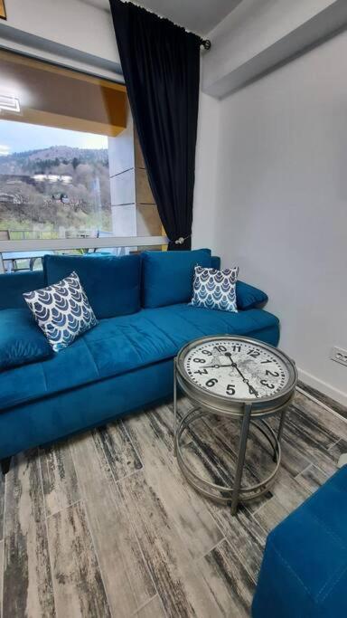 Apartament Erika Premium Σινάια Εξωτερικό φωτογραφία