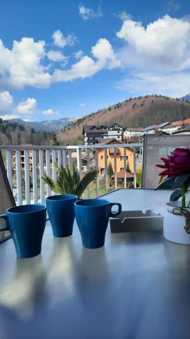 Apartament Erika Premium Σινάια Εξωτερικό φωτογραφία