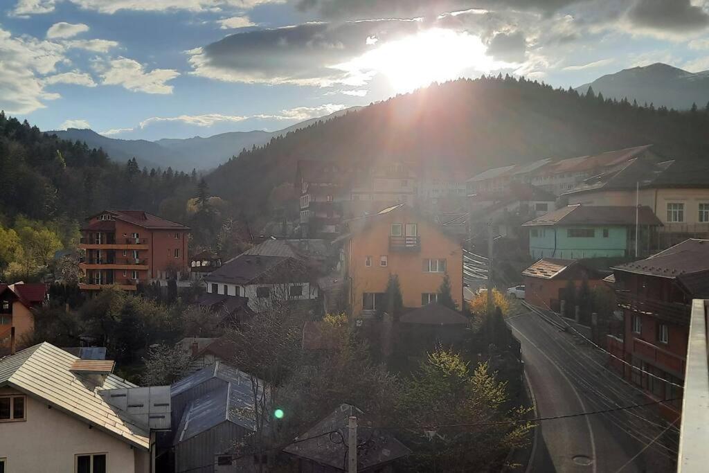 Apartament Erika Premium Σινάια Εξωτερικό φωτογραφία