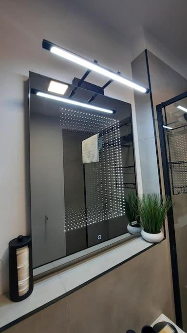 Apartament Erika Premium Σινάια Εξωτερικό φωτογραφία